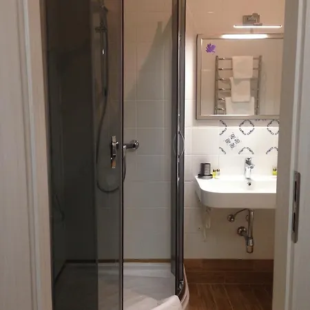 Provans * Bohorodchany